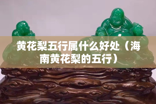 黃花梨五行屬什么好處（海南黃花梨的五行）