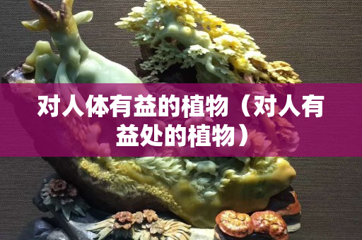 對人體有益的植物（對人有益處的植物）