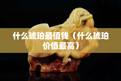 什么琥珀最值錢（什么琥珀價值最高）