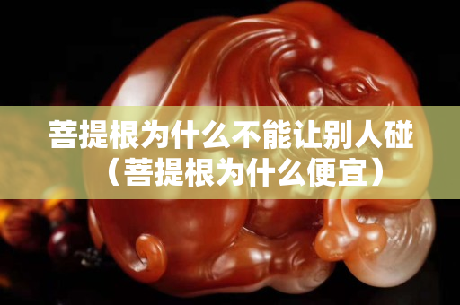 菩提根為什么不能讓別人碰（菩提根為什么便宜）