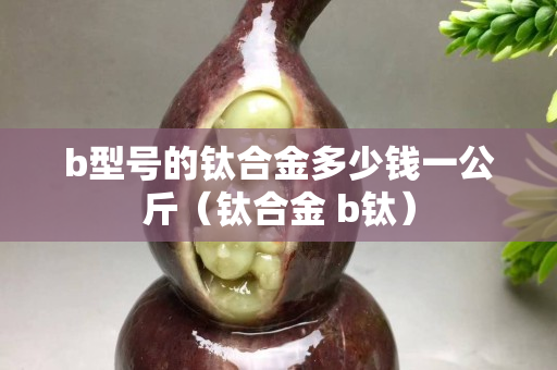 b型號的鈦合金多少錢一公斤（鈦合金 b鈦）