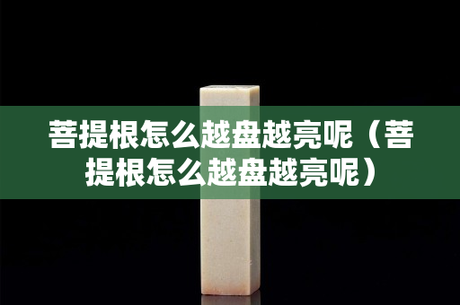 菩提根怎么越盤越亮呢（菩提根怎么越盤越亮呢）