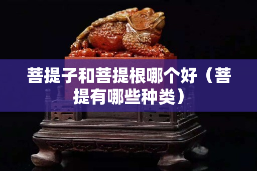 菩提子和菩提根哪個好（菩提有哪些種類）