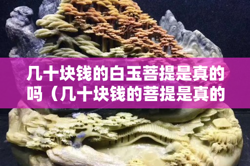 幾十塊錢的白玉菩提是真的嗎（幾十塊錢的菩提是真的嗎）