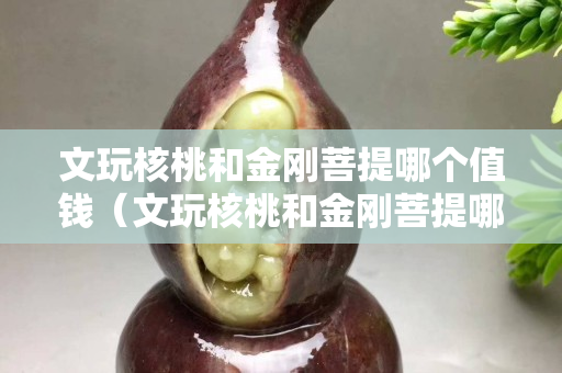 文玩核桃和金剛菩提哪個值錢（文玩核桃和金剛菩提哪個值錢一些）