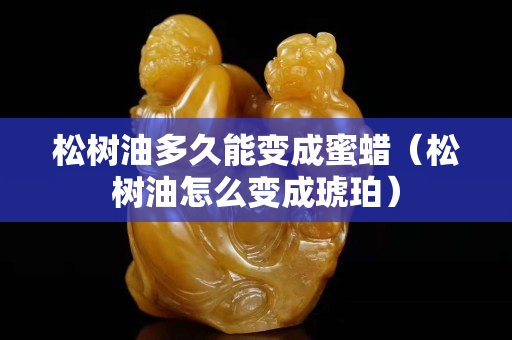 松樹油多久能變成蜜蠟（松樹油怎么變成琥珀）