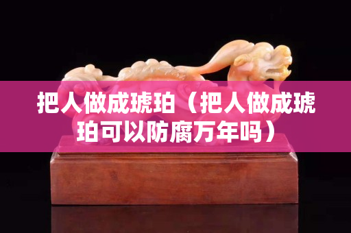 把人做成琥珀（把人做成琥珀可以防腐萬年嗎）