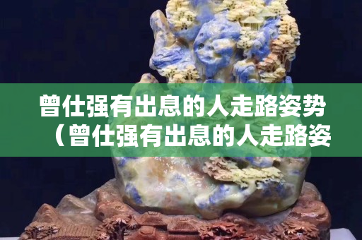 曾仕強有出息的人走路姿勢（曾仕強有出息的人走路姿勢全集）