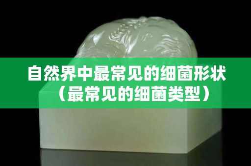 自然界中最常見的細菌形狀（最常見的細菌類型）