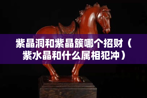 紫晶洞和紫晶簇哪個招財（紫水晶和什么屬相犯沖）