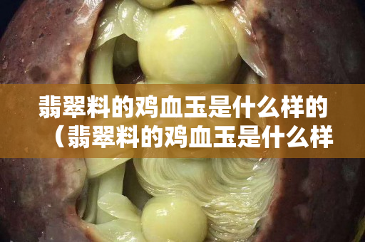 翡翠料的雞血玉是什么樣的（翡翠料的雞血玉是什么樣的圖片）
