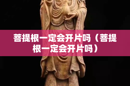 菩提根一定會開片嗎（菩提根一定會開片嗎）