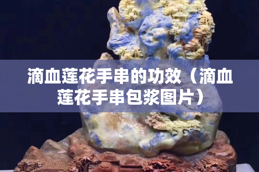 滴血蓮花手串的功效（滴血蓮花手串包漿圖片）