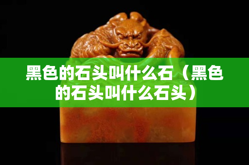 黑色的石頭叫什么石（黑色的石頭叫什么石頭）