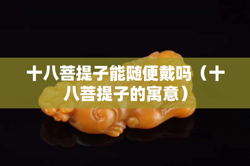 十八菩提子能隨便戴嗎（十八菩提子的寓意）