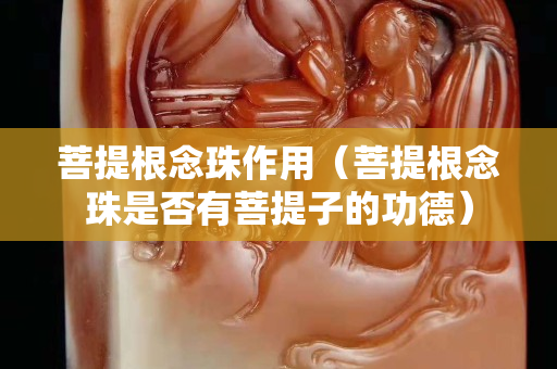 菩提根念珠作用（菩提根念珠是否有菩提子的功德）