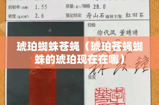 琥珀蜘蛛蒼蠅（琥珀蒼蠅蜘蛛的琥珀現(xiàn)在在哪）