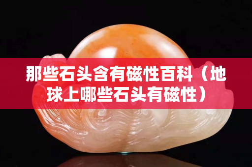 那些石頭含有磁性百科（地球上哪些石頭有磁性）