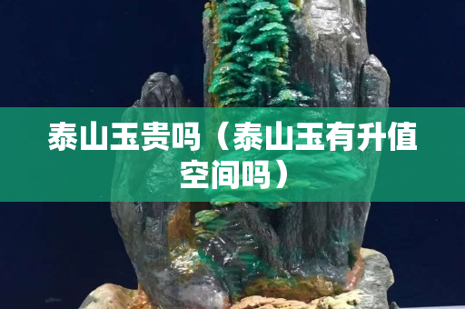 泰山玉貴嗎（泰山玉有升值空間嗎）