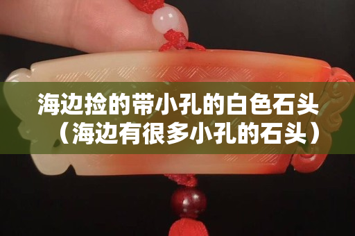 海邊撿的帶小孔的白色石頭（海邊有很多小孔的石頭）