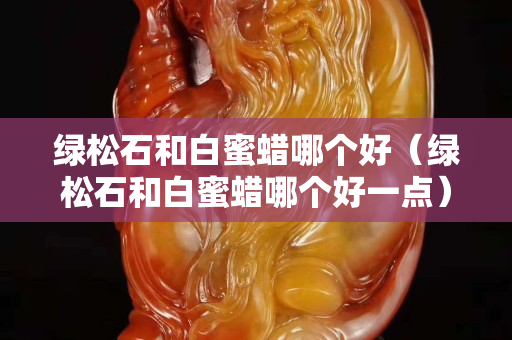 綠松石和白蜜蠟哪個好（綠松石和白蜜蠟哪個好一點）
