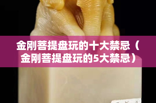 金剛菩提盤玩的十大禁忌（金剛菩提盤玩的5大禁忌）