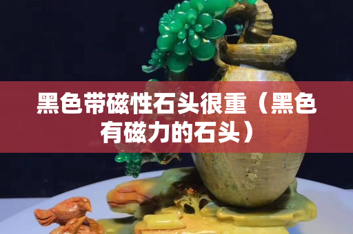 黑色帶磁性石頭很重（黑色有磁力的石頭）