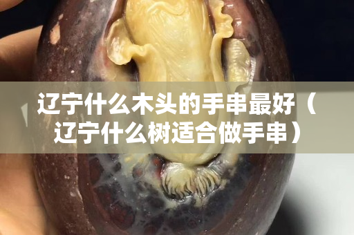 遼寧什么木頭的手串最好（遼寧什么樹(shù)適合做手串）