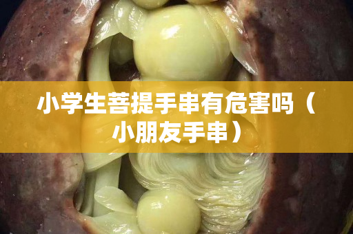 小學生菩提手串有危害嗎（小朋友手串）