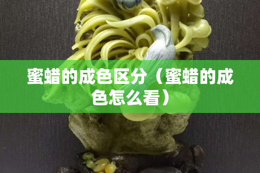 蜜蠟的成色區分（蜜蠟的成色怎么看）
