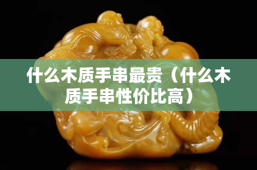 什么木質(zhì)手串最貴（什么木質(zhì)手串性價比高）