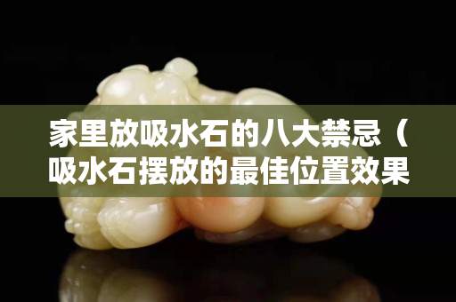 家里放吸水石的八大禁忌（吸水石擺放的最佳位置效果圖）
