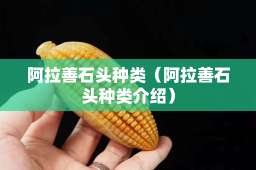 阿拉善石頭種類（阿拉善石頭種類介紹）