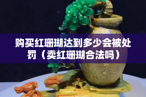 購買紅珊瑚達到多少會被處罰（賣紅珊瑚合法嗎）