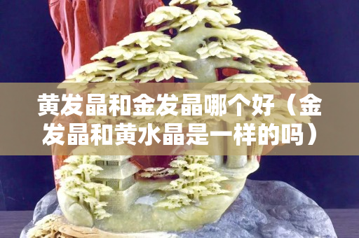 黃發晶和金發晶哪個好（金發晶和黃水晶是一樣的嗎）