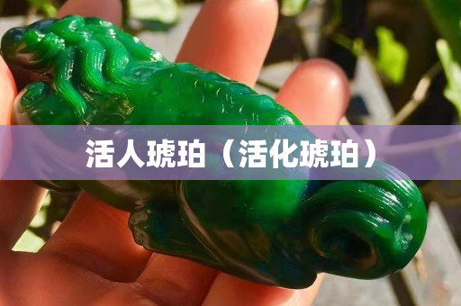 活人琥珀（活化琥珀）