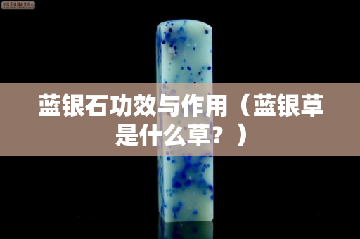 藍銀石功效與作用（藍銀草是什么草？）