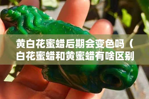 黃白花蜜蠟后期會變色嗎（白花蜜蠟和黃蜜蠟有啥區別）