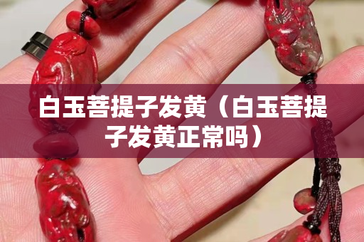 白玉菩提子發黃（白玉菩提子發黃正常嗎）