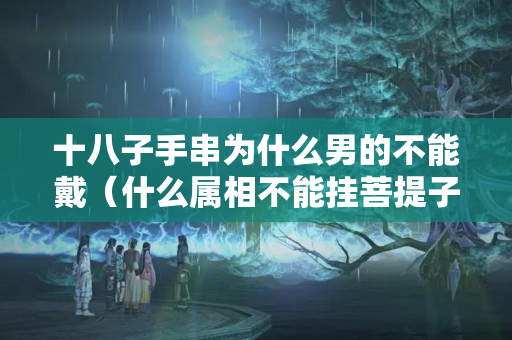 十八子手串為什么男的不能戴（什么屬相不能掛菩提子）