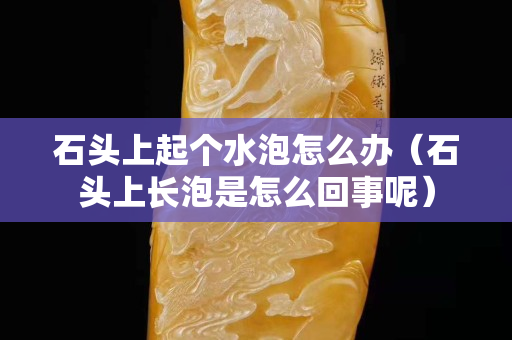 石頭上起個水泡怎么辦（石頭上長泡是怎么回事呢）