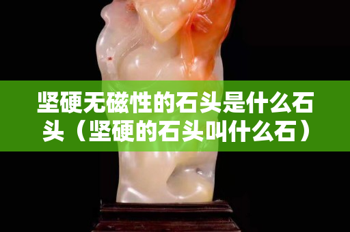 堅硬無磁性的石頭是什么石頭（堅硬的石頭叫什么石）