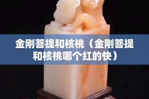 金剛菩提和核桃（金剛菩提和核桃哪個紅的快）
