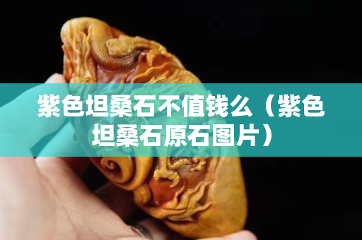 紫色坦桑石不值錢么（紫色坦桑石原石圖片）