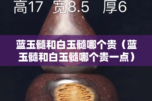 藍玉髓和白玉髓哪個貴（藍玉髓和白玉髓哪個貴一點）