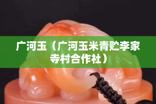廣河玉（廣河玉米青貯李家寺村合作社）