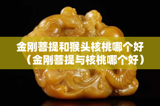 金剛菩提和猴頭核桃哪個好（金剛菩提與核桃哪個好）