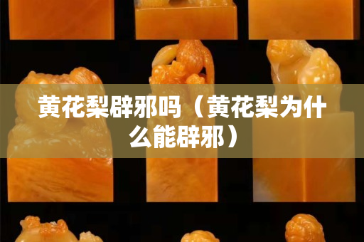 黃花梨辟邪嗎（黃花梨為什么能辟邪）