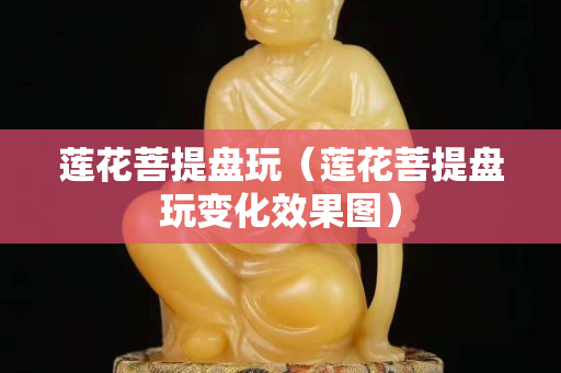 蓮花菩提盤玩（蓮花菩提盤玩變化效果圖）