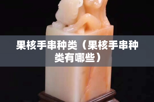 果核手串種類（果核手串種類有哪些）